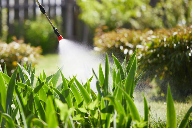 24/7 Emergency Mosquito Control experts in Baidland, PA